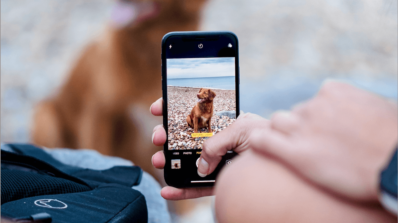 Mettre le texte alternatif du produit que l'article concerne.